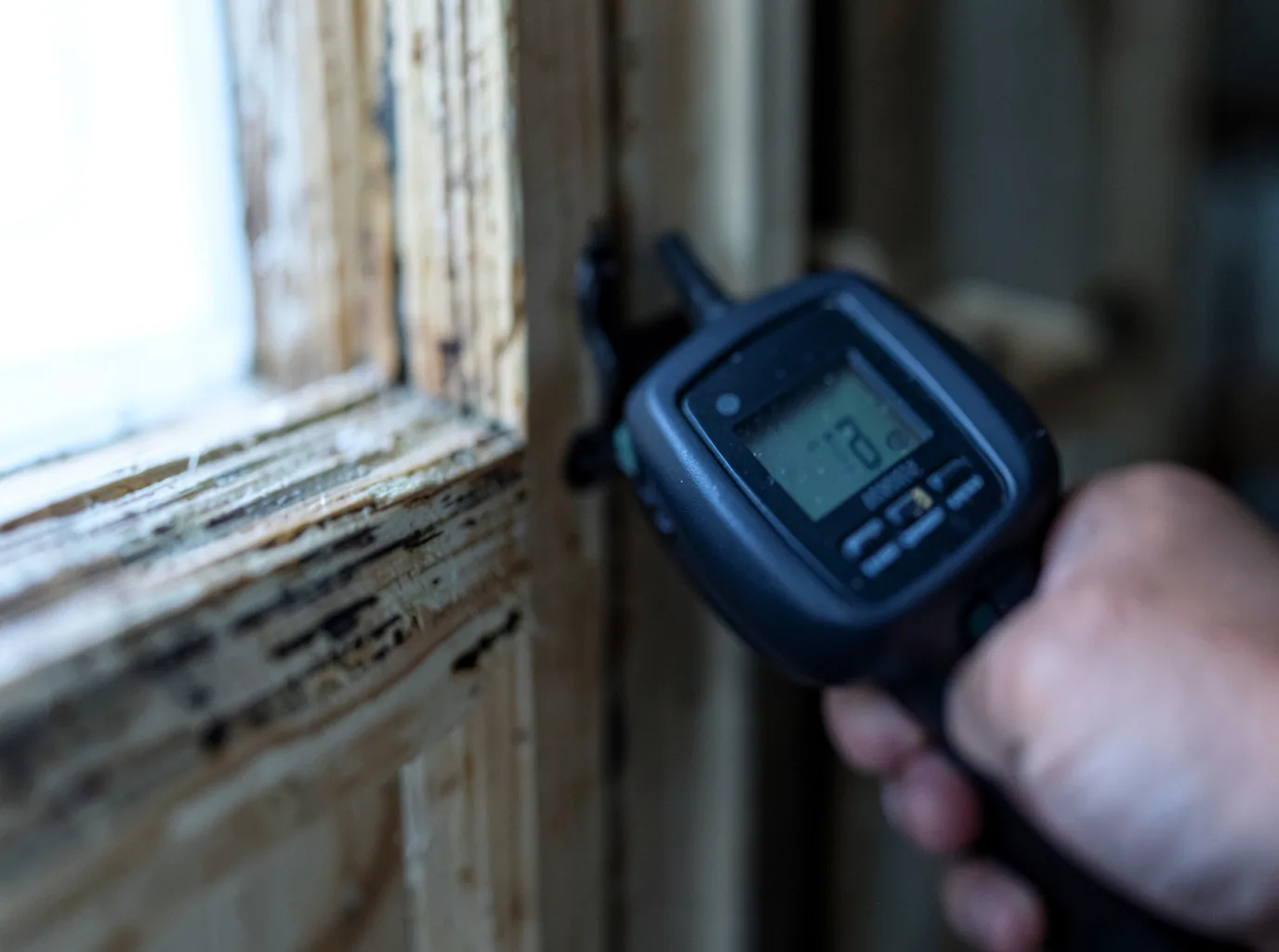 Moisture Inspection And Documentation in Duck Creek Village, UT